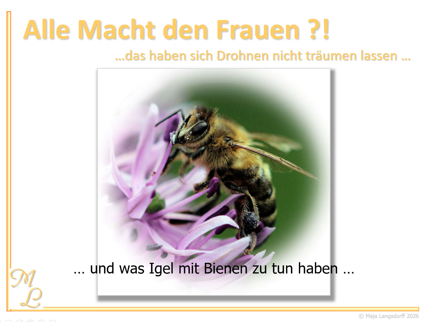 Startbild Bienenwebinar