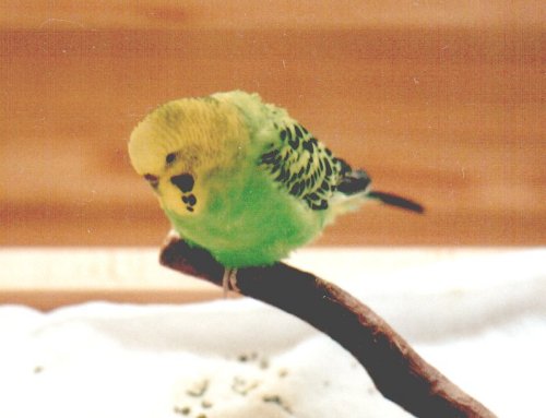 Samstag - ein Abschiedsbild